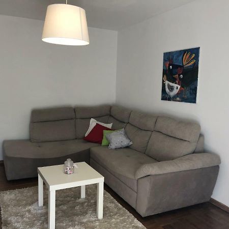 Apartment Safran Novigrad Istria Dış mekan fotoğraf