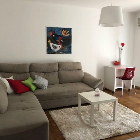 Apartment Safran Novigrad Istria Dış mekan fotoğraf