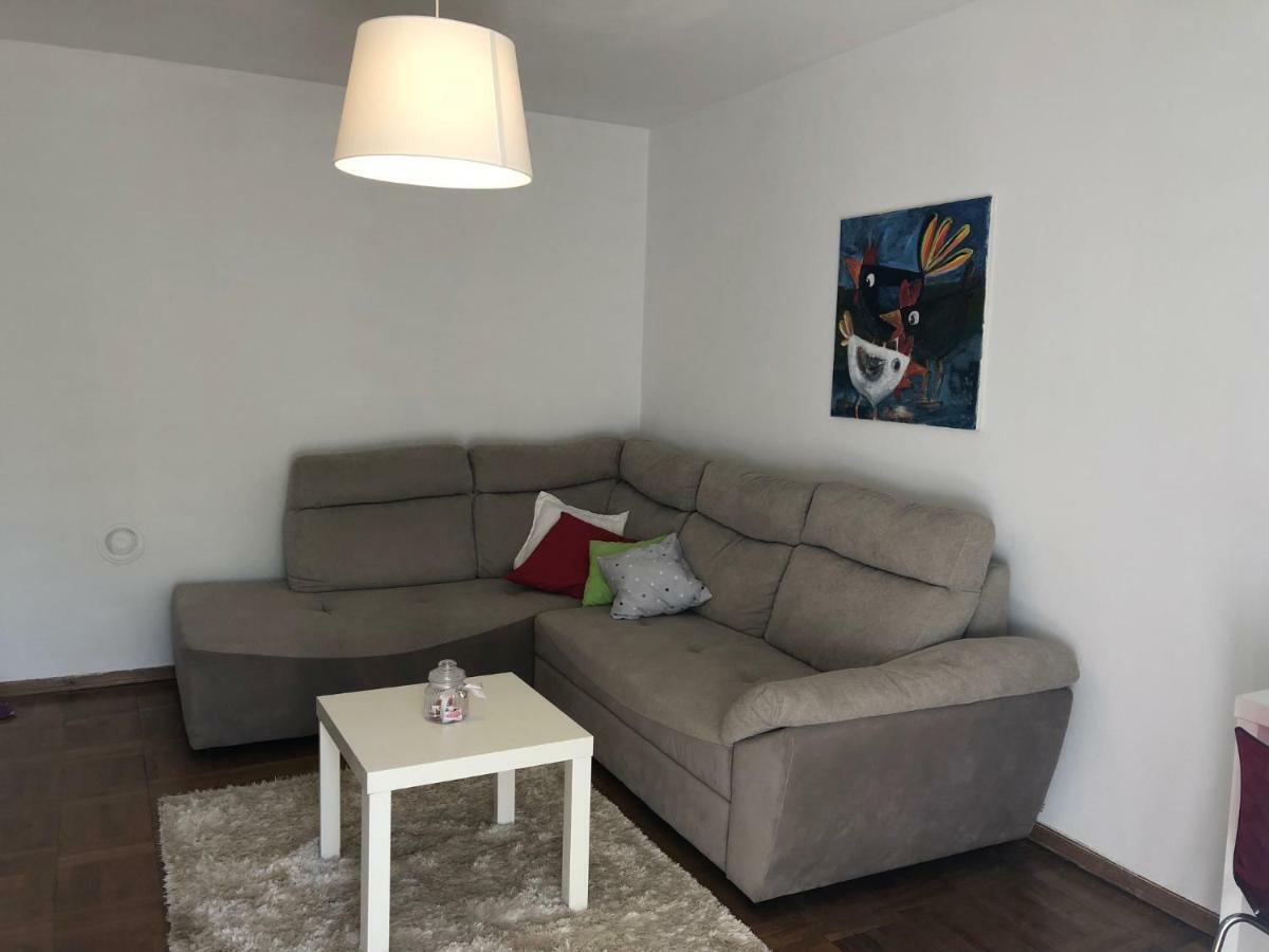 Apartment Safran Novigrad Istria Dış mekan fotoğraf